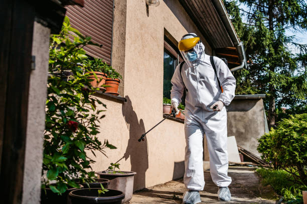 Best Affordable Pest Control Services  in Mount Vernon, IN