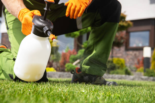 Wasp Removal Services in Mount Vernon, IN