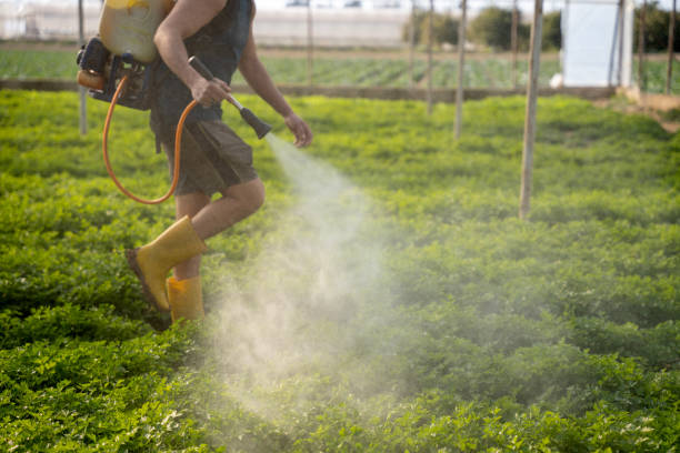 Best Pest Control Cost  in Mount Vernon, IN