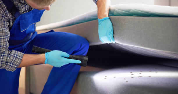 Best Rat Extermination Near Me  in Mount Vernon, IN