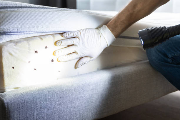Best Rat Extermination Near Me  in Mount Vernon, IN