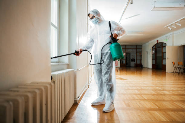 Best Wasp Removal Services  in Mount Vernon, IN