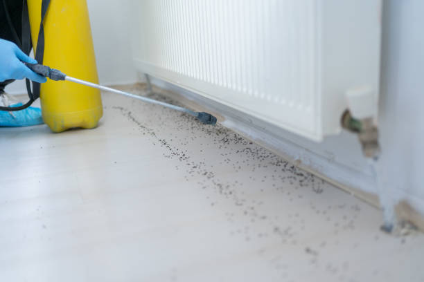 Best Best Pest Control Companies  in Mount Vernon, IN