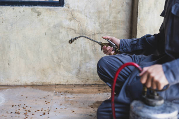Pest Control Cost in Mount Vernon, IN