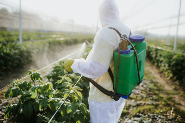 Best Pest Control Near Me  in Mount Vernon, IN